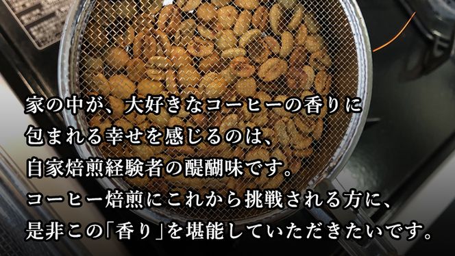 コーヒー 自家焙煎 セット コーヒー豆 200ｇ 2種 × 100ｇ コーヒー ブレンド 生豆 焙煎 初心者 お手軽 ［BN007us］