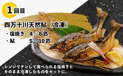 R5-769．【3回定期便】うなぎ・四万十牛・あゆ！ごちそう定期便10万円コース【第2弾】