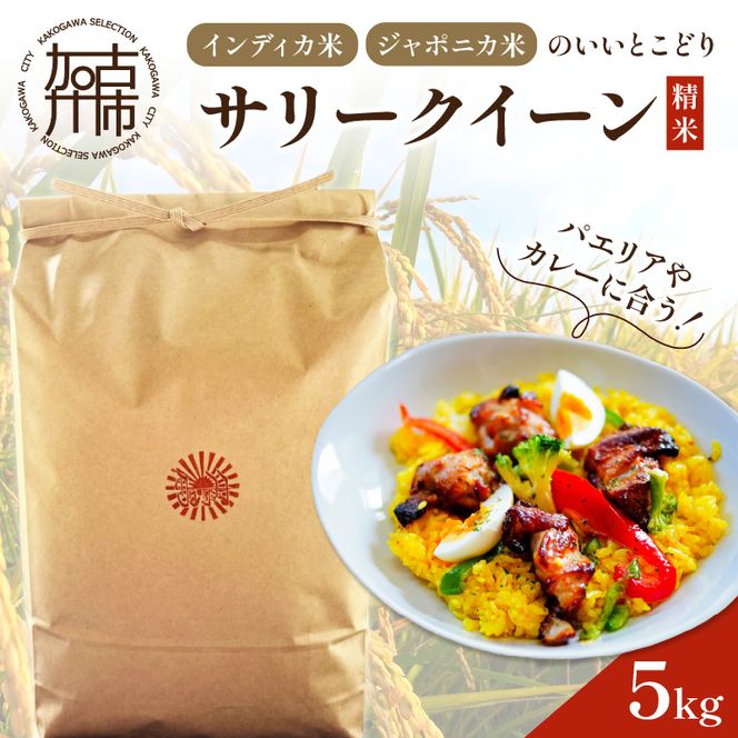 お米 サリークイーン 精米《 お米 精米 5キロ 安心 安全 バスマティ 日本晴 米 おこめ 国産 送料無料 ピラフ パエリア 》【2401B08406】