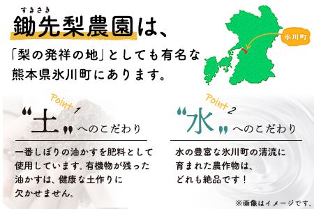 熊本県氷川町産 鋤先梨農園の梨 約3kg 鋤先梨農園 《8月下旬-10月中旬頃出荷》 熊本県 氷川町 あきづき 甘太 新高 新興 旬---sh_cskinasi_h810_26_13000_3kg---
