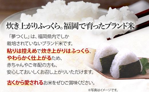 福岡県産ブランド米「夢つくし」無洗米　計10kg