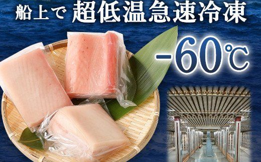 【ふるさと納税】【緊急支援品】 【訳あり】 厳選 トロびんちょうマグロ 約500g ふるさと納税限定 とろびんちょう びんながまぐろ びんとろビントロ ビンチョウマグロ 魚 惣菜 刺し身 冷凍 故郷納税 送料無料　ge014