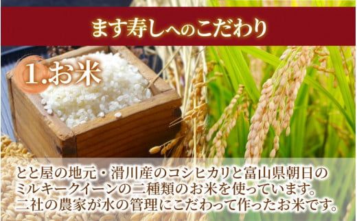 【定期便6回（隔月）】ご家庭用に！ 簡易包装 ます寿し【本州のみ発送】 ※発送前に在宅確認の電話連絡をいたします！