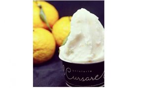 富士川町産！贅沢に使用！甲州生ジェラート（ゆず）12個　ジェラート ゆず 柚子 ユズ 柚 アイス フルーツ 果物 山梨