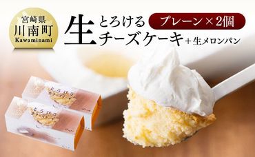 『押川春月堂本店』とろける生チーズケーキ（プレーン2個）