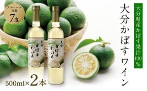 0B4-77 大分かぼすワイン（500ml×2本／化粧箱入）