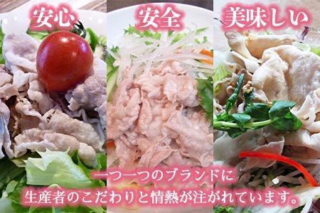 ＜宮崎ブランド豚しゃぶ2kg＋ポン酢＞3か月以内に順次出荷【c477_tf_x3】