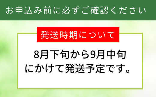 【先行予約】【梨 20世紀梨 香住梨 5kg 大きめ（1玉350g～500gを10～14玉）】大人気 ふるさと納税 おすすめ 返礼品 ランキング 二十世紀梨 シャキシャキの食感 ほどよい甘さとみずみず