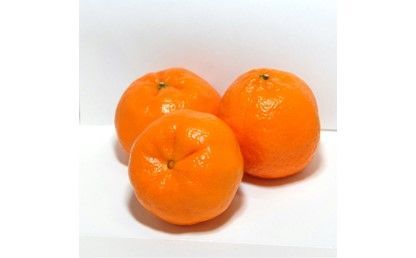 【C09020】【2027年1月下旬より発送】【大分市名産】まぼろしの逸品 志手ぽんかん サイズおまかせ5kg