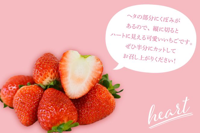 【3Lサイズ以上】いちご とちあいか 600g以上 (300g以上×2パック)｜栃木県 益子町 ふるさと納税 鈴木農園 3L 4L 5L 贈答用 食べ応え抜群 大きい 大きいサイズ いちご イチゴ 苺 果物 フルーツ とちあいか 人気 600g以上 1パックあたり5粒～12粒入り 合計10～24粒入り（DJ002）