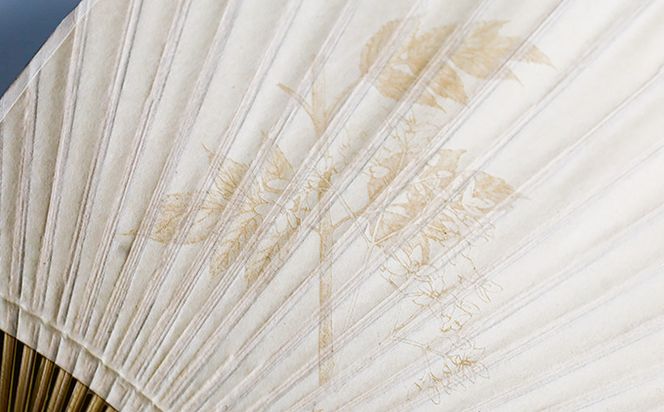 【紙漉きの技】土佐和紙うちわ＆はがきセット（せんだん)