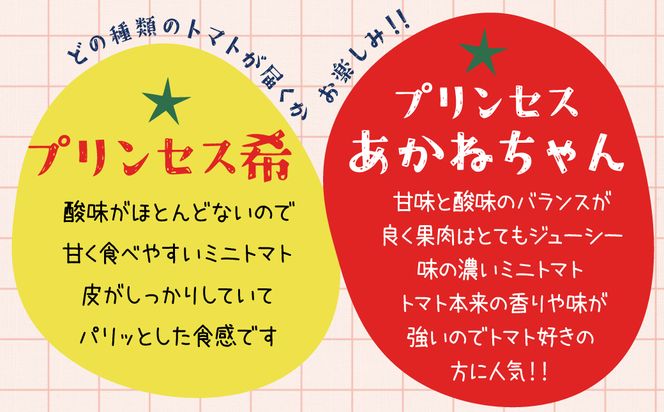 【内閣総理大臣賞受賞】毎日食べたくなるミニトマト３kg 農林水産大臣賞受賞 日本農業賞大賞 受賞 とまと 野菜 碧南市 H031-005