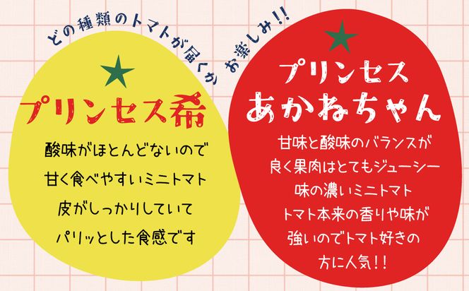 【内閣総理大臣賞受賞】毎日食べたくなるミニトマト３kg 農林水産大臣賞受賞 日本農業賞大賞受賞 H031-002