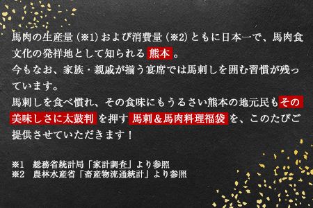 純国産馬刺し＆馬肉料理福袋 計1kg 熊本肥育 2年連続農林水産大臣賞受賞 送料無料 上赤身馬刺し100g たてがみ50g 馬とろ150g 馬ソーセージ500g 燻製 霜降り ハン馬ーグ200g(2個入り) タレ付き 熊本県長洲町《90日以内に出荷予定（土日祝除く）》---ng_fba5syu_90d_r7_13000_1kg---