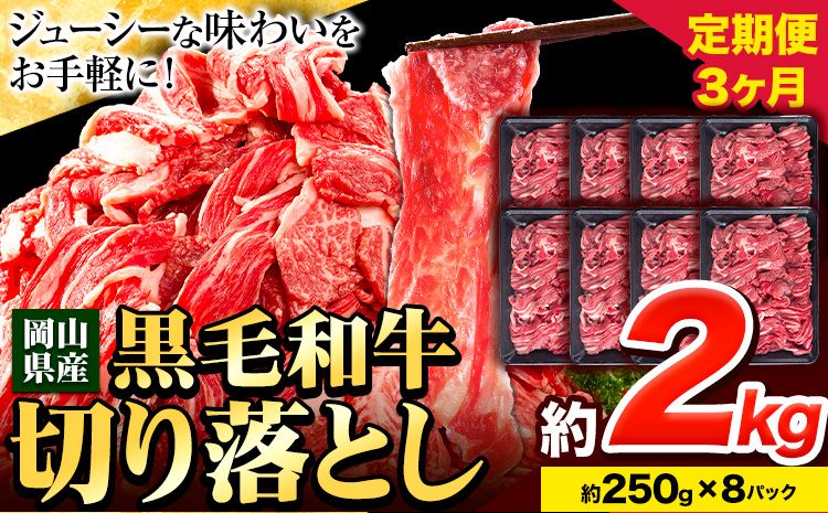 牛肉 肉 黒毛和牛 切り落とし 訳あり 大容量 小分け[定期便] 2kg 1パック 250g 3回 [お申込月の翌月より発送]岡山県産 岡山県 笠岡市 お肉 にく カレー 牛丼 切り落し 切落し---223_f742tei_23_60000_6kg---