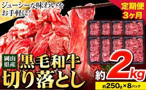 牛肉 肉 黒毛和牛 切り落とし 訳あり 大容量 小分け【定期便】 2kg 1パック 250g 3回 《お申込月の翌月より発送》岡山県産 岡山県 笠岡市 お肉 にく カレー 牛丼 切り落し 切落し---223_f742tei_23_60000_6kg---