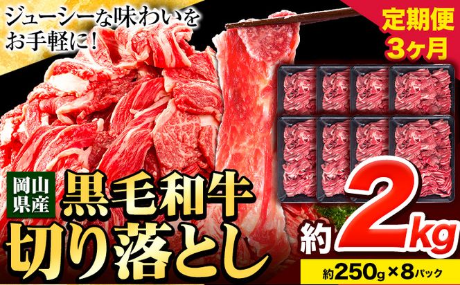 牛肉 肉 黒毛和牛 切り落とし 訳あり 大容量 小分け【定期便】 2kg 1パック 250g 3回 《お申込月の翌月より発送》岡山県産 岡山県 笠岡市 お肉 にく カレー 牛丼 切り落し 切落し---223_f742tei_23_60000_6kg---