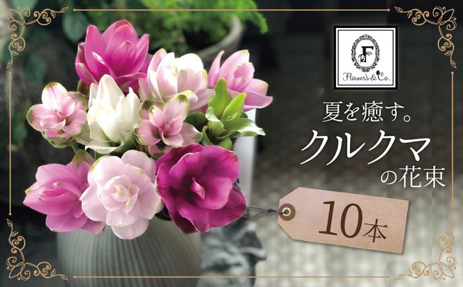 【夏限定】花もち抜群！碧南市産「クルクマ」 カラフルブーケ 10本をかわいく花束にしてお届け H174-001