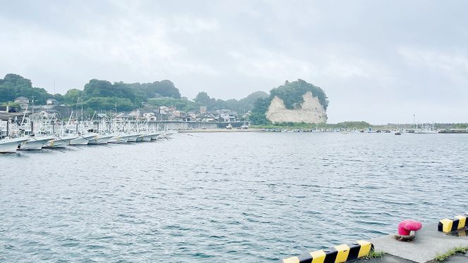 しらす干し 天日乾燥 800g(400g×2)（共通返礼品：茨城県北茨城市） 国産 新鮮 厳選 ビール おつまみ ご飯のお供 サラダ 魚介 子ども 健康 カルシウム [CZ001us] 小分け