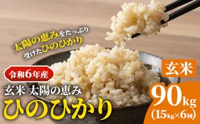 【令和6年産 予約受付】玄米 岡山県産 ひのひかり 笠岡産 90kg(15kg×6回)《10月下旬-9月下旬頃出荷》農事組合法人奥山営農組合 太陽の恵み---O-06_90k_玄米---