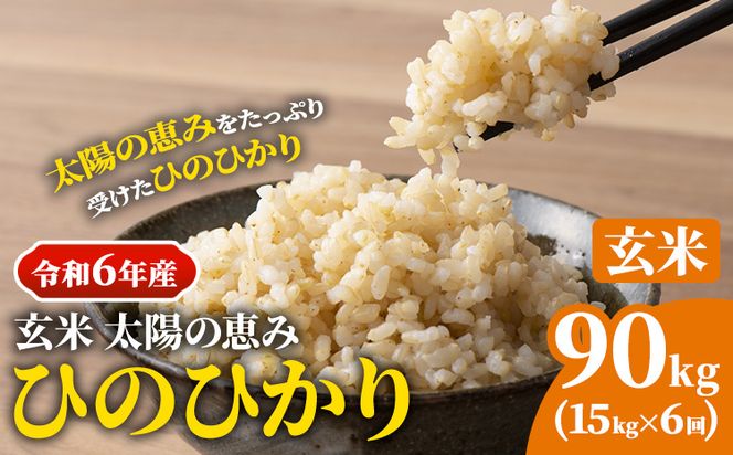 【令和6年産 予約受付】玄米 岡山県産 ひのひかり 笠岡産 90kg(15kg×6回)《10月下旬-9月下旬頃出荷》農事組合法人奥山営農組合 太陽の恵み---O-06_90k_玄米---