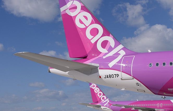 099H389 PeachでGo！！泉佐野市宿泊 旅行クーポン（300,000円分）【宿泊 旅行 ホテル トラベル】