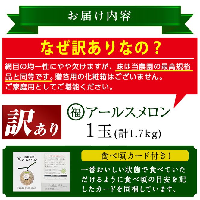 【0111109a】＜訳あり＞マル福の高級アールスメロン(1玉・1.7kg)メロン フルーツ 果物 果実 1キロ 数量限定 期間限定【マル福園芸組合】