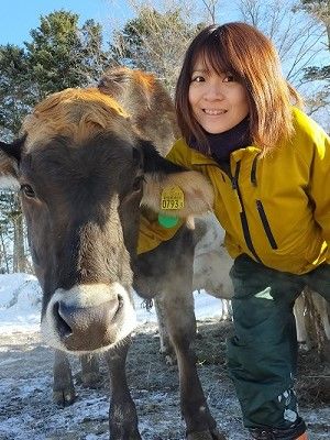 754.牧之瀬牧場アイスクリーム（ミルク味12ヶ入り）