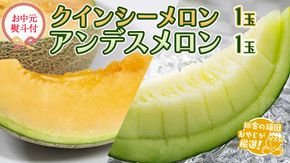 【 お中元 熨斗 付 】 クインシーメロン 1玉 アンデスメロン 1玉 【 2026年7月より発送開始 】田舎の頑固おやじが厳選！  メロン お中元 ギフト 高糖度 ［BI256-NT］