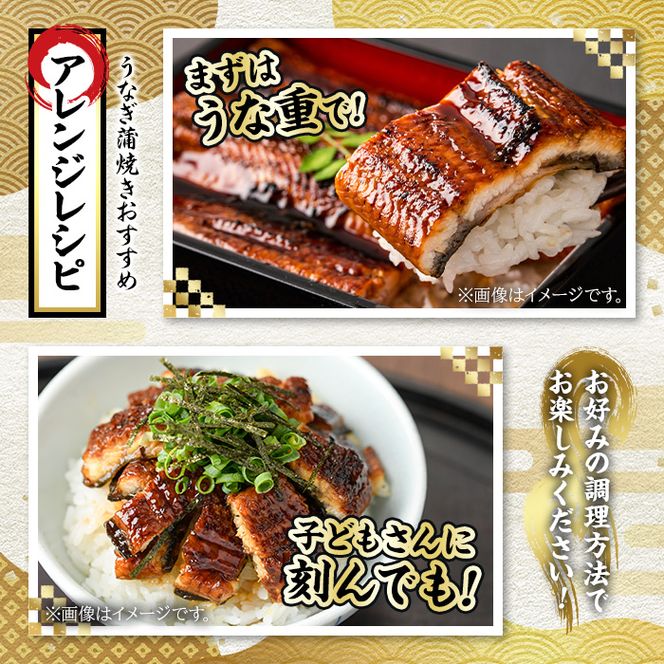 【0244311a】並サイズの満足感！東串良町のうなぎ蒲焼(無頭)(5尾・計約600g・タレ、山椒付)うなぎ 高級 ウナギ 鰻 国産 蒲焼 蒲焼き たれ 鹿児島 ふるさと 人気【アクアおおすみ】