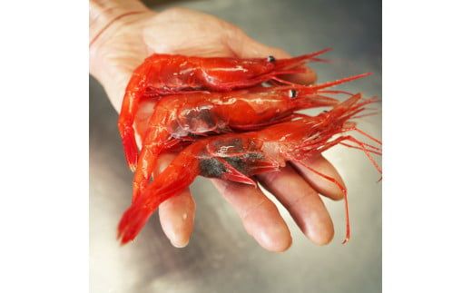 【漁師直送】北海道産 甘えび Lサイズ1kg お刺身 唐揚げ 丼 味噌汁 寿司 冷凍 天ぷら 旬 海鮮 せたな町 ふるさと納税