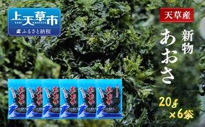 天草産あおさ（乾燥）20g×6袋 計120g あおさ 海藻 のり 海苔 乾燥 アオサ お吸い物 味噌汁 熊本県 上天草市