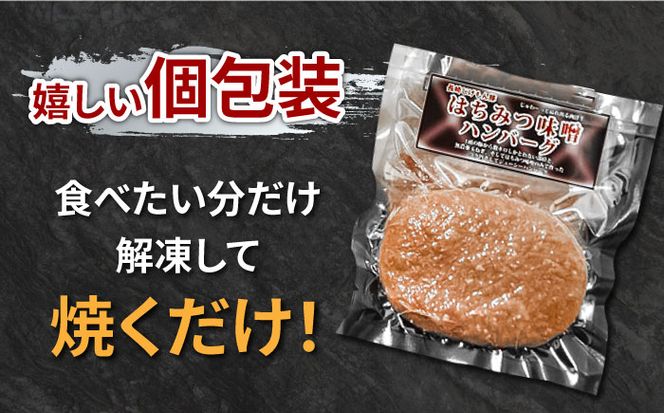 【長崎 じげもん 豚】はちみつ 味噌 ハンバーグ（10人前）/ はんばーぐ 小分け 冷凍 / 南島原市 / 溝田精肉店 [SBP001]