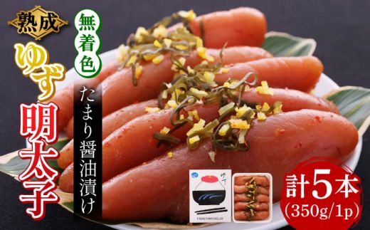 yz㒬zn ܂ݖЂ F 䂸q 5{(350g)sz㒬tyLЃtBbV[}YNuz q ߂񂽂[ABCU013]