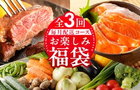 099Z158 泉佐野お楽しみ福袋 定期便 全3回 牛肉 ステーキ 海鮮 サーモン 野菜【毎月発送コース】