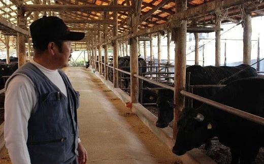 0C1-124 おおいた豊美牛バラ切り落とし（600g）