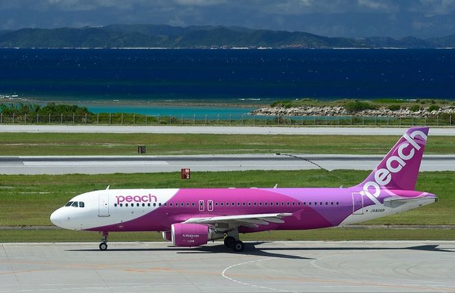 050F082 PeachでGo！！泉佐野市宿泊 旅行クーポン（15,000円分）【宿泊 旅行 ホテル トラベル】