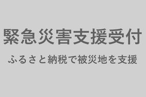 令和6年1月能登半島地震 災害緊急支援寄付(返礼品希望しない)