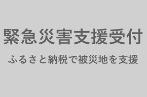 令和6年1月能登半島地震 災害緊急支援寄付(返礼品希望しない)