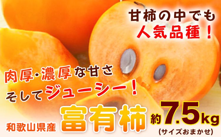 甘柿の王様 和歌山産 富有柿 約7.5kg サイズおまかせ 厳選館[2024年11月上旬-12月下旬頃出荷予定]和歌山県 日高町 柿 カキ フルーツ ジューシー---iwsh_gsk28_ab1112_24_18000_7500g---