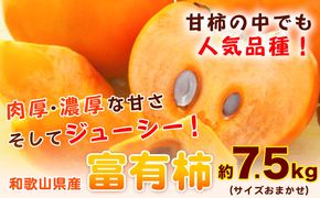 甘柿の王様 和歌山産 富有柿 約7.5kg サイズおまかせ 厳選館《2024年11月上旬-12月下旬頃出荷予定》和歌山県 日高町 柿 カキ フルーツ ジューシー---iwsh_gsk28_ab1112_24_18000_7500g---