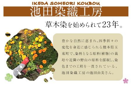草木染はごろもシルクショール 青系 池田染織工房《60日以内に出荷予定(土日祝除く)》---sg_ikdshawl_60d_21_37000_blue---