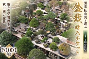 【ふるさと納税限定】 園主 「秋山実」と選ぶ 盆栽購入 チケット 60,000円分 [秋山園 山梨県 韮崎市 20740912] 盆栽 ぼんさい 限定