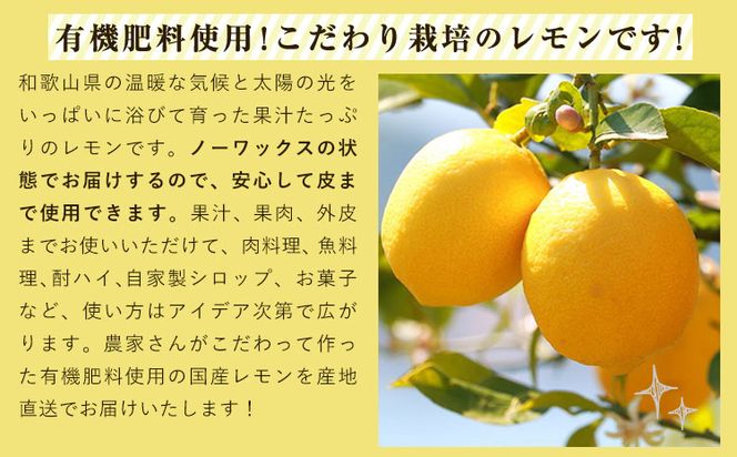 和歌山県産の 安心 国産 レモン 約 3kg (サイズ混合またはL・2Lサイズおまかせ) 厳選館 《12月上旬-2月上旬頃出荷》 和歌山県 日高町 レモン 柑橘 果物 フルーツ 送料無料---wsh_genkle1_ad122_22_13000_3kg---