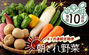 【4ヶ月連続定期便】【訳あり】朝どれ野菜 10品目 春 旬 新鮮 野菜 おまかせ 送料無料　rk005