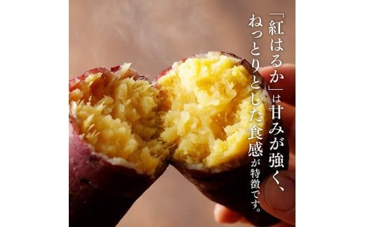 野菜 宮崎県産さつまいも　紅はるか5kg 【 宮崎県産 九州産 いも 芋 サツマイモ 野菜 】☆ [C10005]