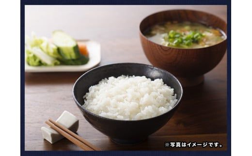 ※選べる内容量・発送時期・発送回数※【令和8年産】宮崎県産こしひかり「シタギリ米」5kg /10kg【 米 お米 白米 精米 国産 宮崎県産 こしひかり おにぎり 定期便 】ⅡⅧ [B04201 B04201t3 B04201t6 B04202 B04202t3 B04202t6]