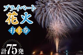 プライベート 花火 2号玉×50発&3号玉×15発&4号玉×10発 計75発【打上場所は宝達志水町内限定】 [能登煙火 石川県 宝達志水町 38600094]