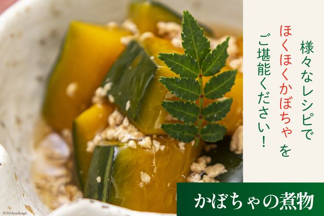 【期間限定発送】 野菜 栗カボチャ 2玉 [たくちゃんの野菜農園 宮崎県 日向市 452060909] かぼちゃ 南瓜 カボチャ 完熟 甘い ホクホク ほっこり133 ブラックのジョー 国産