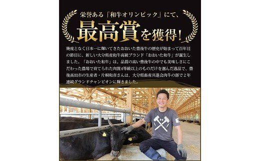 サーロイン ステーキ (200g×2枚） 片桐さんのおおいた和牛 黒毛和牛 サーロインステーキ 【年内配送】【スピード発送】[E2-05]